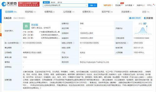 京东关联公司管理层更迭 王振辉卸任，陈岩磊接棒国内贸易代理业务